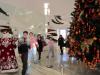 img_1269_t1.jpg