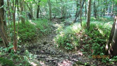 img_0574.jpg
