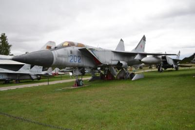 dsc_0713.jpg