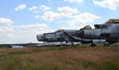 dsc_0107.jpg