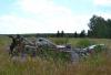 dsc_0119_t1.jpg