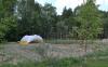 dsc_0141_t1.jpg