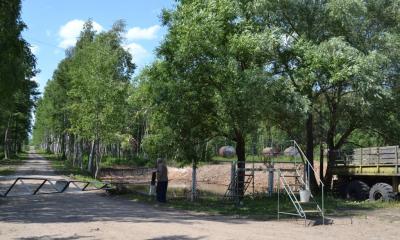 dsc_0141a.jpg