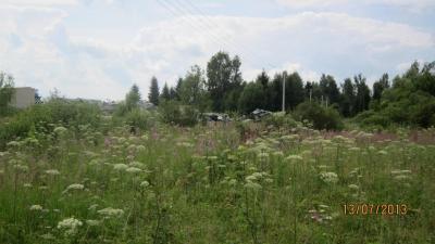 img_0162.jpg
