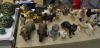 dsc_5615_t1.jpg