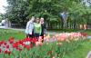 dsc_5840_t1.jpg