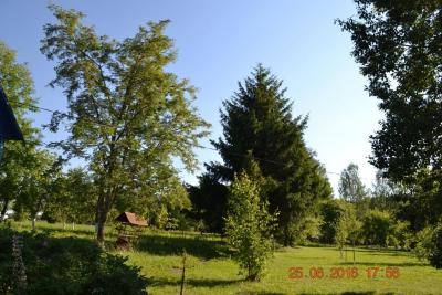 dsc_0071.jpg