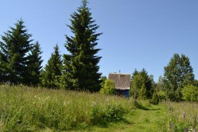 dsc_0074.jpg
