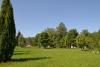 dsc_0075_t1.jpg