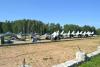 dsc_0109_t1.jpg