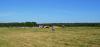 dsc_0112_t1.jpg