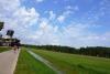 dsc_1225_t1.jpg