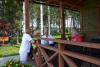 dsc_1300_t1.jpg