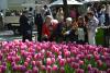 dsc_0049_t1.jpg