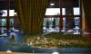 dsc_0461_t1.jpg