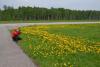 dsc_0581_t1.jpg