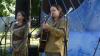 imgp2265.jpg_t1.jpg