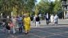 dsc_4732_t1.jpg