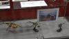 dsc_6638_t1.jpg