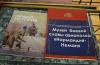 dsc_7068_t1.jpg
