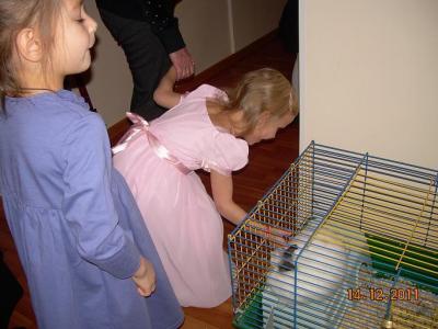 dscn5518.jpg