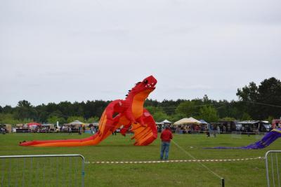dsc_0209.jpg