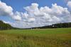 dsc_0811_t1.jpg