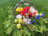 img-20200509-wa0011_t1.jpg