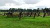 dscn0508_t1.jpg
