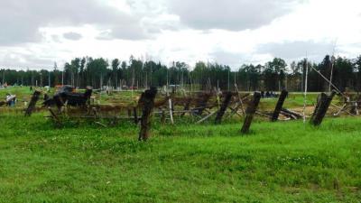 dscn0508.jpg