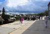 dsc_0181_t1.jpg
