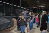 dsc_0218_t1.jpg