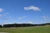 dsc_0601_t1.jpg