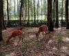 img_20210902_151651_t1.jpg