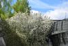 dsc_0437_t1.jpg