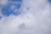 dsc_0643_t1.jpg