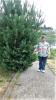 dscn1362_t1.jpg