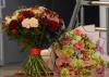 dsc_0543_t1.jpg