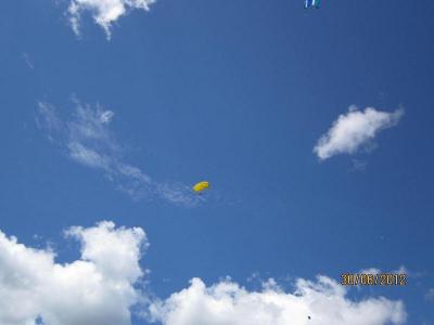 img_0446.jpg