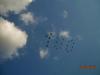 dscn8485_t1.jpg