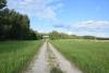 dsc_0317_t1.jpg