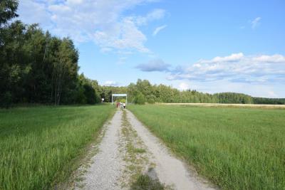 dsc_0317.jpg