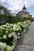 dsc_0211_t1.jpg