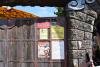 dsc_0239_t1.jpg