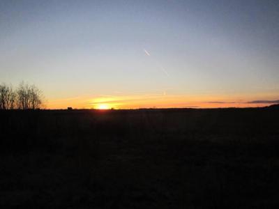 img_0353.jpg